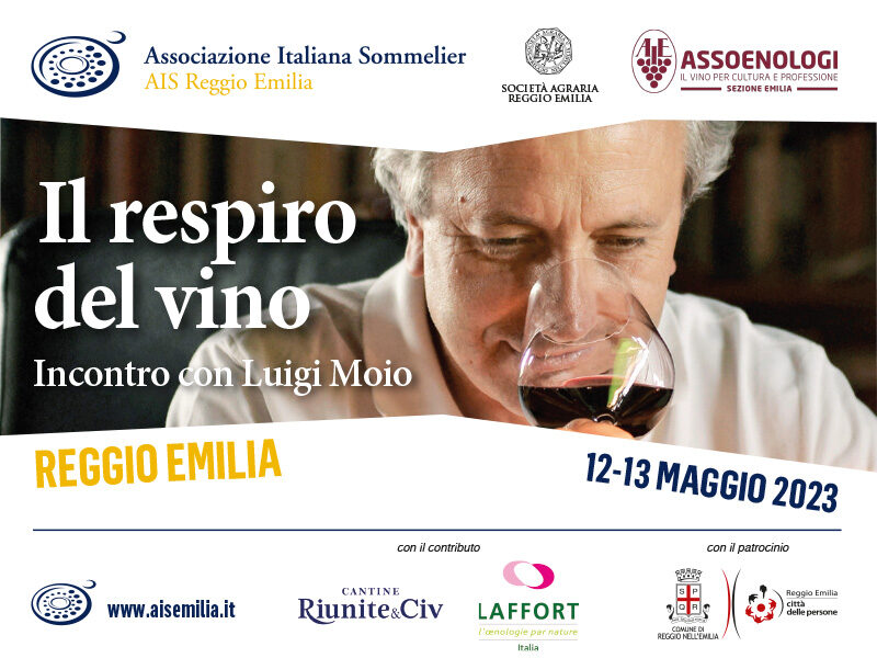 Il Respiro del vino Nuovo libro di Luigi Moio - Live Sicilia